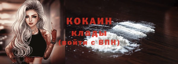 гидра Корсаков