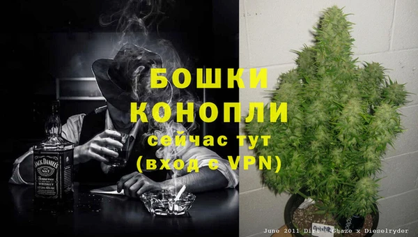 гидра Корсаков