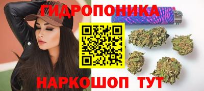 гашик Балашиха
