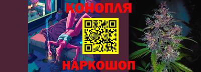 сатива Балаково