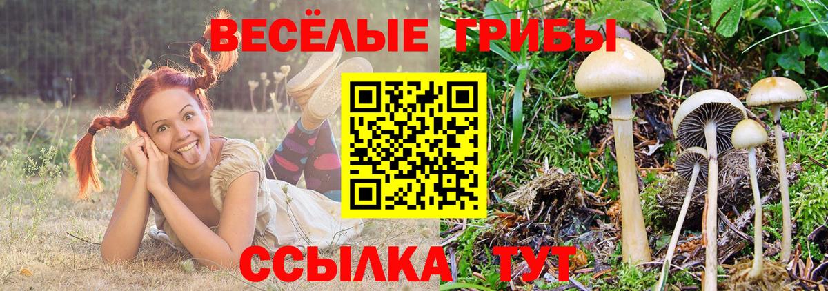 Верхняя Салда  Псилоцибиновые грибы Psilocybe  Вход с VPN 
