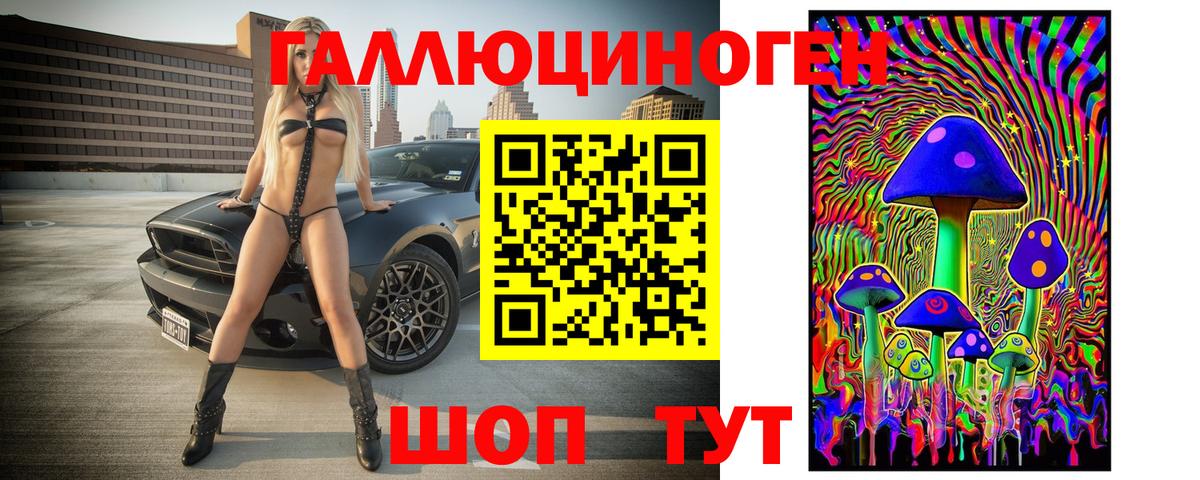 Псилоцибиновые грибы Psilocybine cubensis  Верхняя Салда 