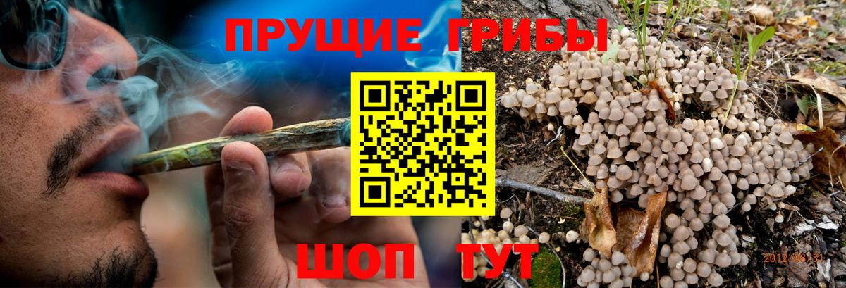 Галлюциногенные грибы Cubensis Верхняя Салда