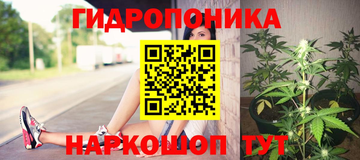 Шишки марихуана семена  Марихуана сатива  Бошки Шишки тримм  Верхняя Салда  Вход с VPN  Марихуана Amnesia 